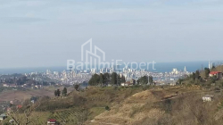 Առանձնատուն 4200 մ² - Ագարա, AGARA, Վրաստан