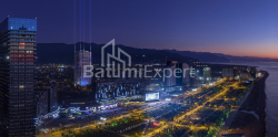 Օբյեկտը կառուցման ընթացքում է 46.4 մ² - Գրիգոլա Լորթքիփանիձե, Batumi, Վրաստан
