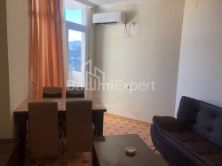 Բնակարան 2-комн 40 m² - Ալեքսանդրա Պուշկին, Batumi