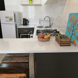 Բնակարան 1-комн 29 m² - Զուրաբա Գորգիլաձե, Batumi