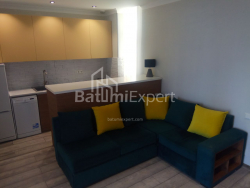 Բնակարան 2-комн 42.3 m² - Լեխ և Մարիա Կաչինսկիներ, Batumi