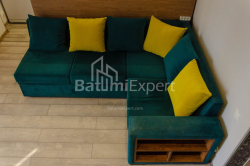 Բնակարան 2-комн 42.3 m² - Լեխ և Մարիա Կաչինսկիներ, Batumi