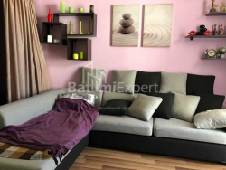 Բնակարան 2-комн 48 m² - Նիկո Փիրոսմանի, Batumi
