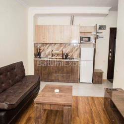 Բնակարան 2-комн 41.2 m² - Ալեքսանդրա Պուշկին, Batumi