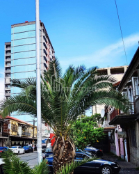 Բնակարան 80 մ² - Իլյա Ճավճավաձե, Batumi, Վրաստан
