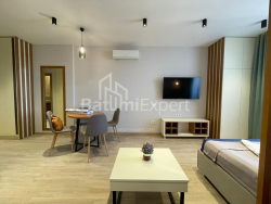 Բնակարան 1-комн 37 m² - Նիկո Փիրոսմանի, Batumi