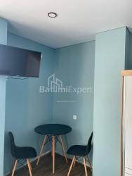 Բնակարան 1-комн 24 m² - Լեխ և Մարիա Կաչինսկիներ, Batumi