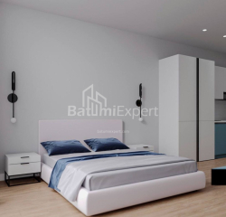 Բնակարան 1-комн 30.3 m² - Շալվա Ինասարիձե, Batumi