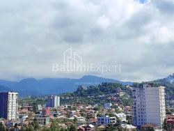 Բնակարան 3-комн 70 m² - Ալեքսանդրա Պուշկին, Batumi