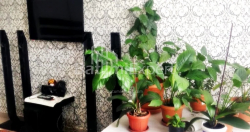 Բնակարան 64 մ² - Սելիմա Խիմշիաշվիլի, Batumi, Վրաստан