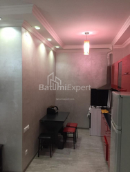 Բնակարան 2-комн 52 m² - Ալեքսանդրա Պուշկին, Batumi