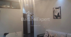 Բնակարան 5-комн 120 m² - Իլյա Ճավճավաձե, Batumi