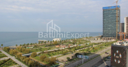Բնակարան 1-комн 172.5 m² - Լեխ և Մարիա Կաչինսկիներ, Batumi